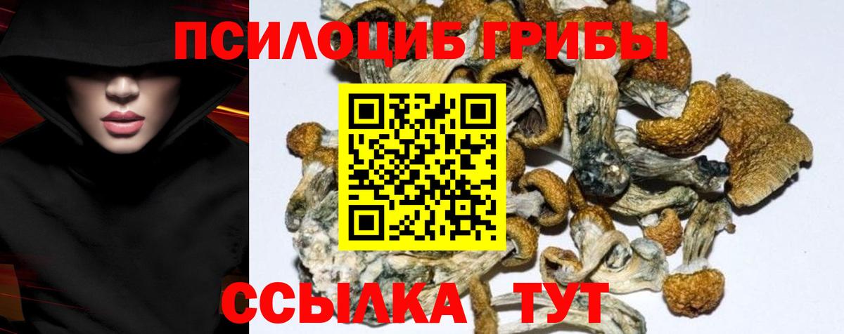Псилоцибиновые грибы Psilocybe  Галлюциногенные грибы Magic Shrooms  Старая Купавна  Вход с VPN 